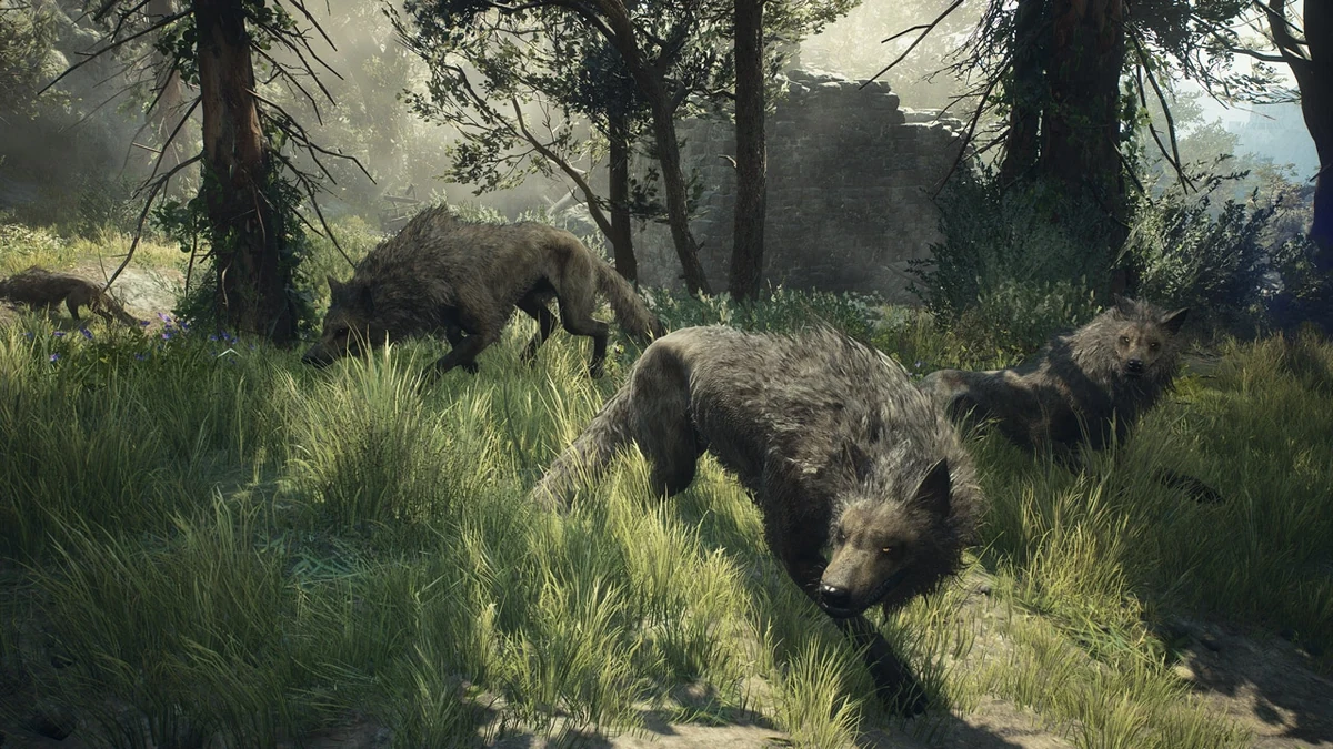 Official screenshot of wolves in the Dragon’s Dogma 2 wilderness