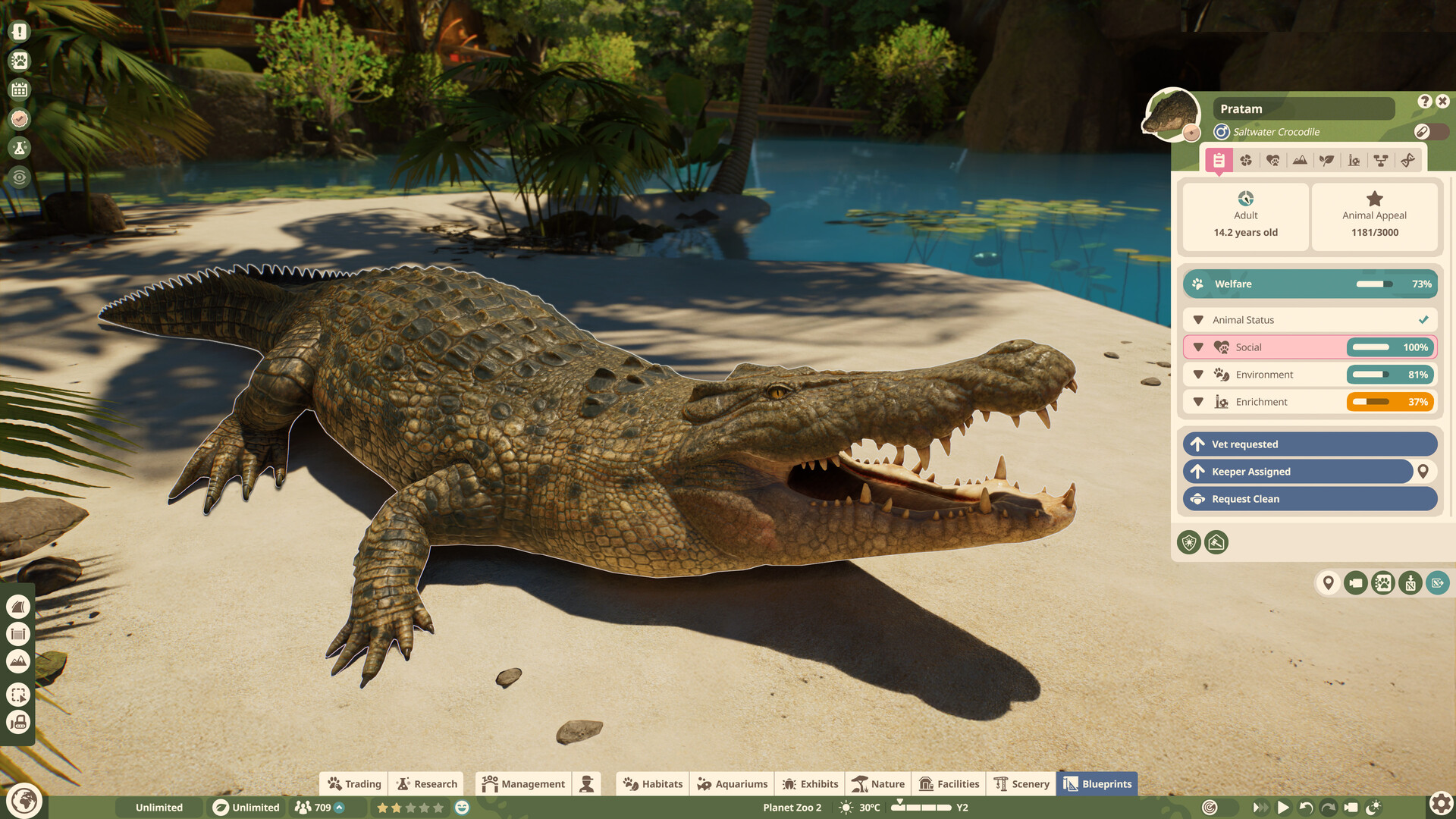 Saltwater crocodile with its welfare panel open in Planet Zoo 2